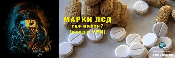 гашик Арсеньев