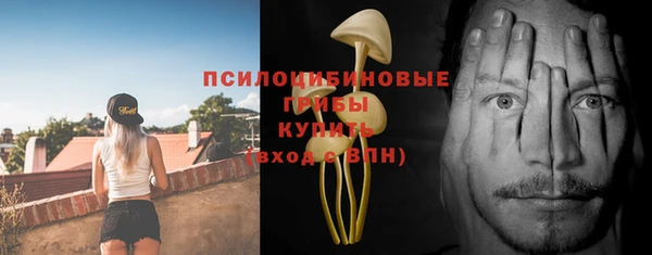 гашик Арсеньев