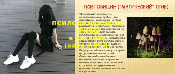 ALPHA PVP Алзамай
