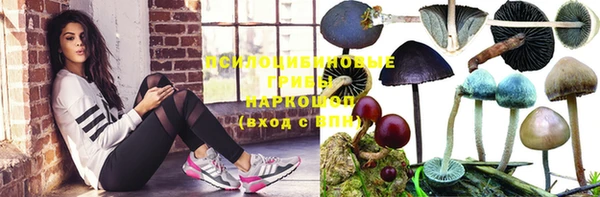 гашик Арсеньев