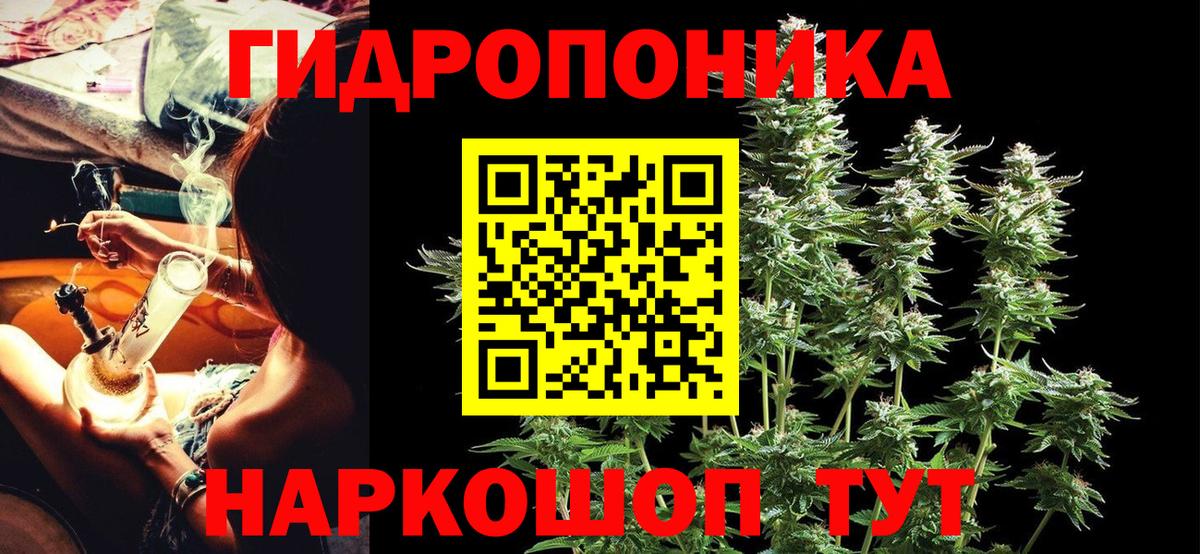 Канабис гибрид  МАРИХУАНА планчик  Вход с VPN  Всеволожск  Бошки марихуана план 